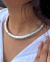 Gunjan Kutchi Hasli